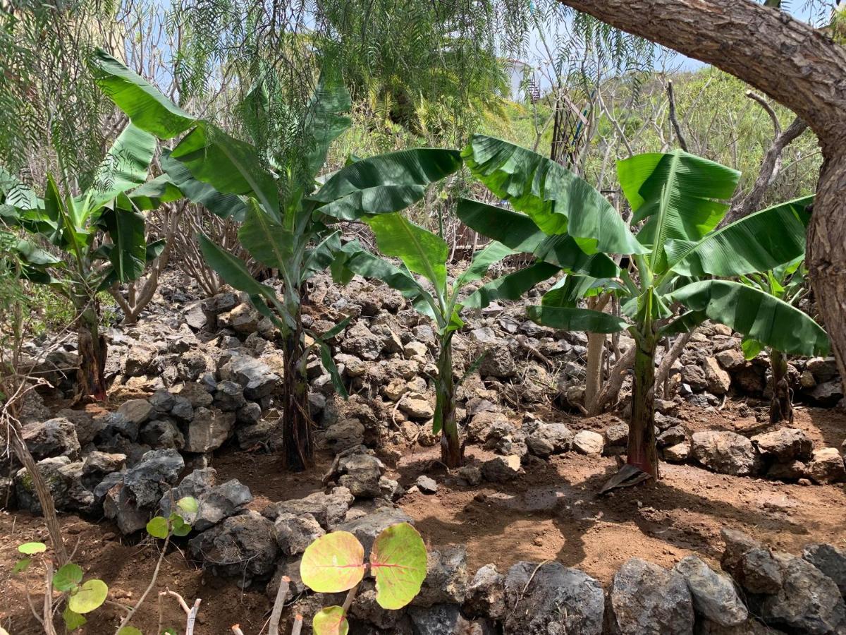 Bodeguita - Finca Tabaiba By Tor إيكود ذي لوس فينوس المظهر الخارجي الصورة